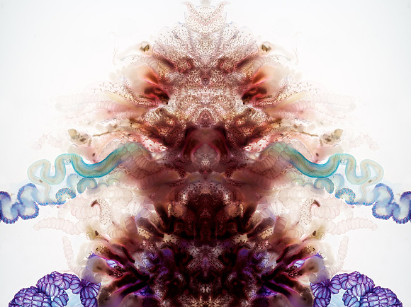Zooid-2085