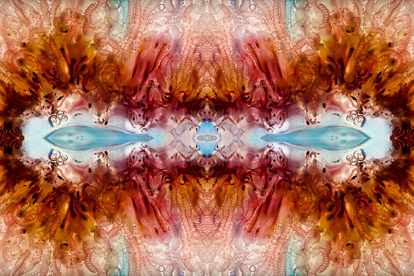 Zooid-0984