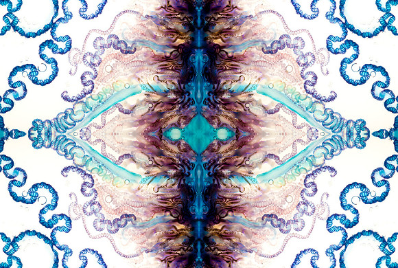 Zooid-1116