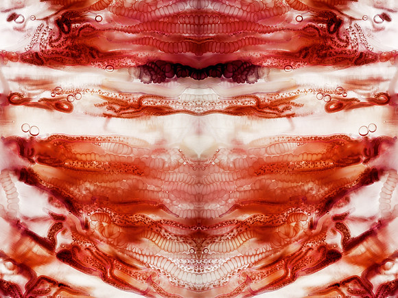 Zooid-0950