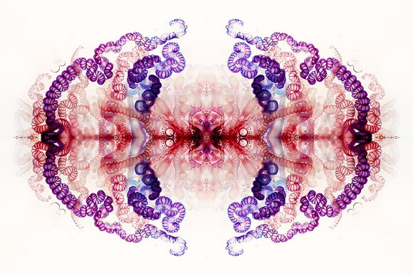 Zooid-1011