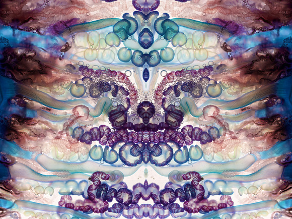 Zooid-1320