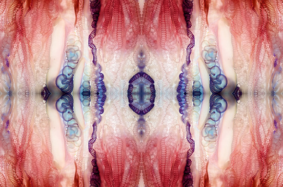 Zooid-0951