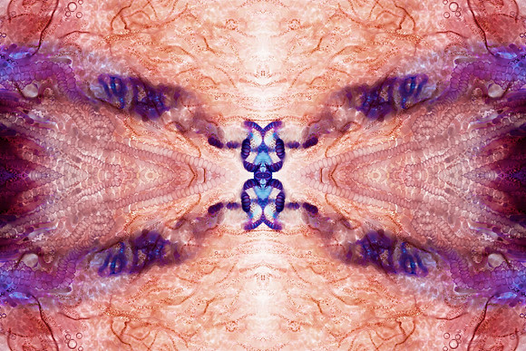 Zooid-1252