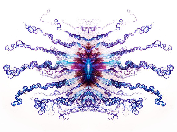 Zooid-1327