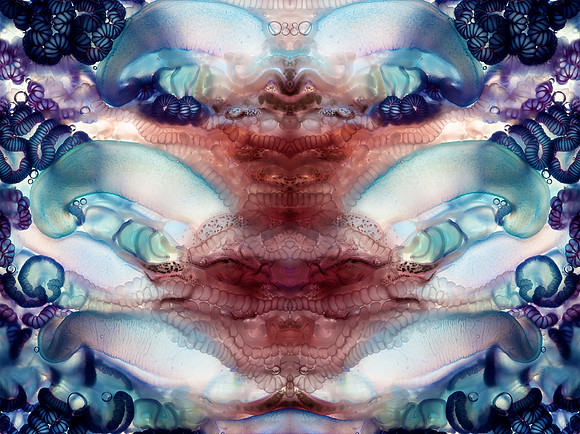 Zooid-2106