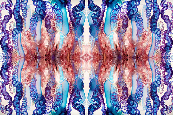 Zooid-1017