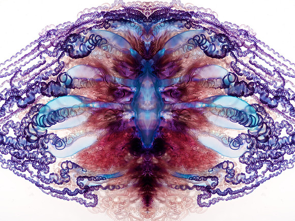 Zooid-1325