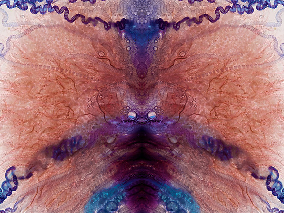 Zooid-1249