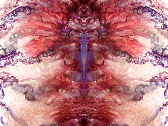 Zooid-1218