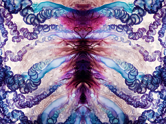 Zooid-1265