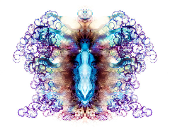 Zooid-1689
