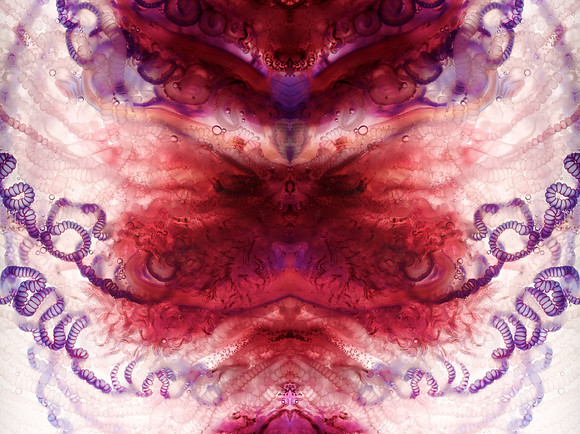 Zooid-1508
