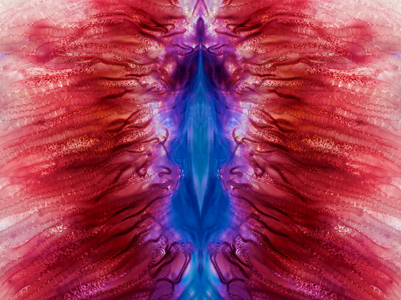 Zooid-1897