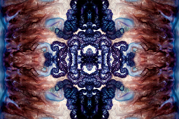 Zooid-2128