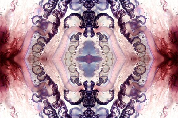 Zooid-1429