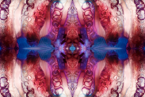 Zooid-1452