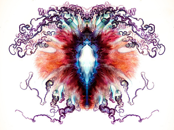 Zooid-1624