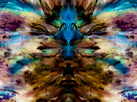 Zooid-1924