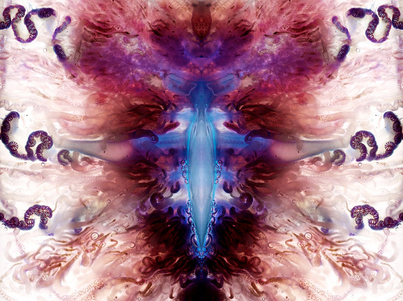 Zooid-1476