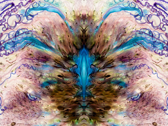Zooid-1921