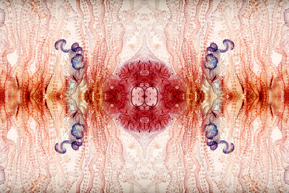 Zooid-0960