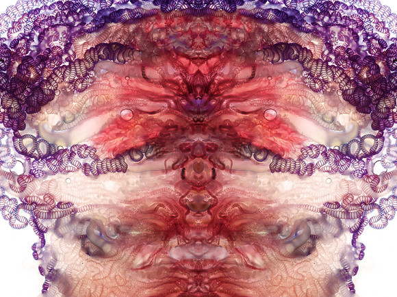 Zooid-1221