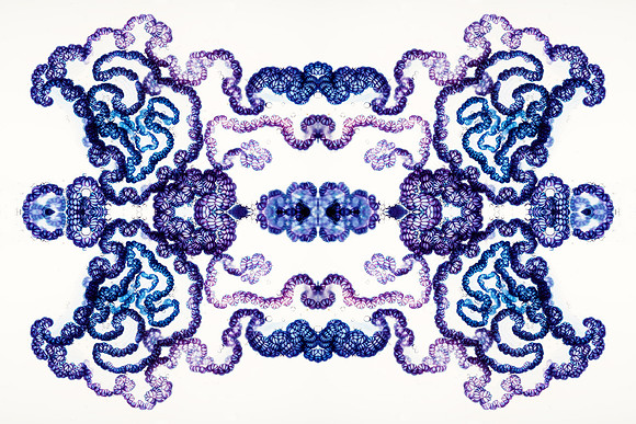 Zooid-2122
