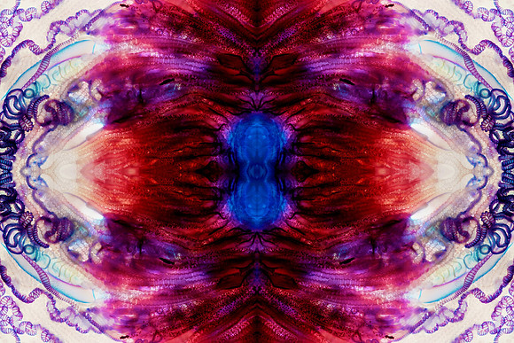 Zooid-1907