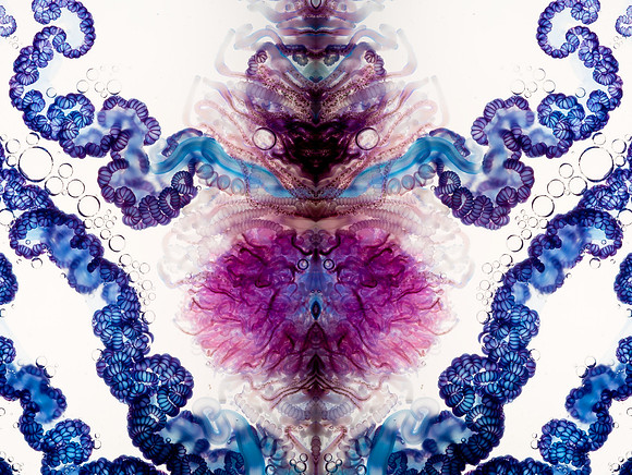 Zooid-1003