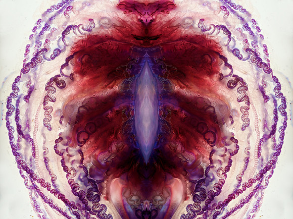 Zooid-1506
