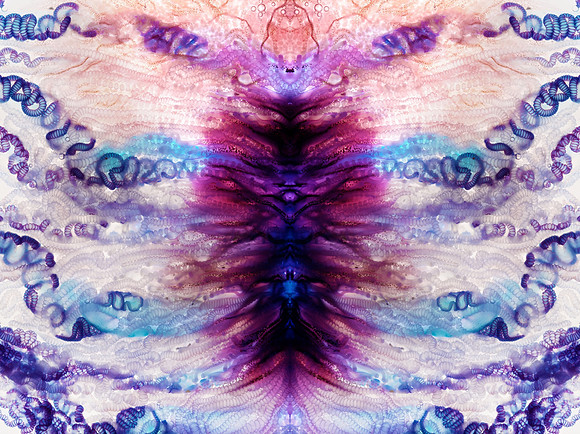 Zooid-1250