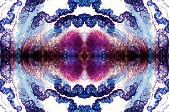 Zooid-1002