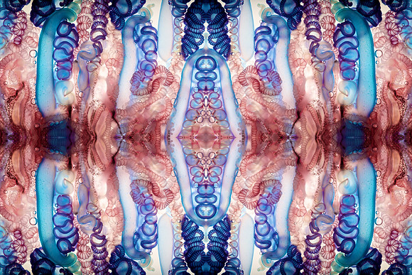 Zooid-1033