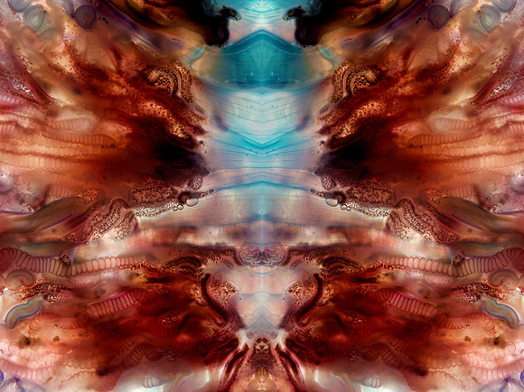 Zooid-2076