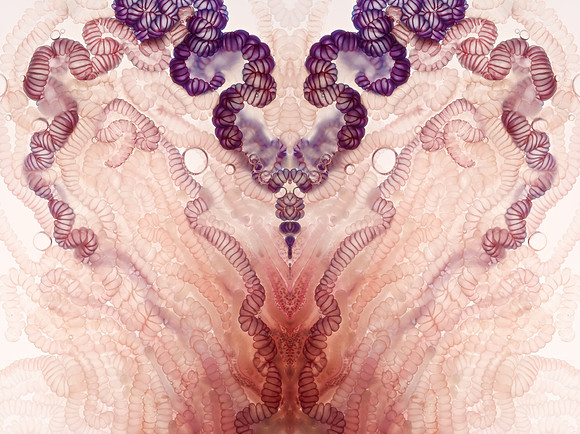 Zooid-1228