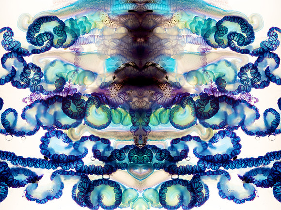Zooid-1994