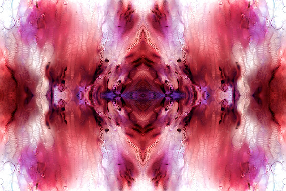 Zooid-1434