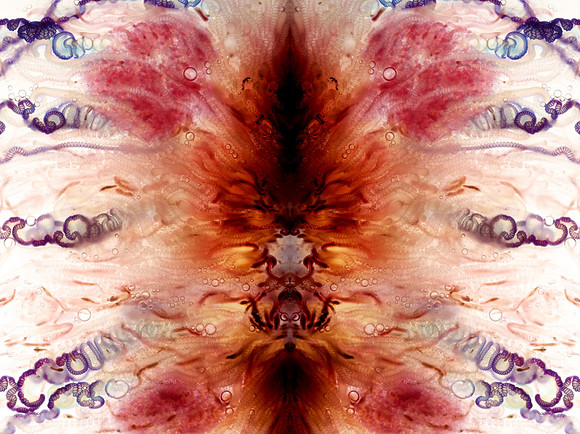Zooid-1056