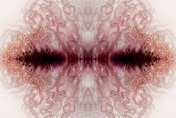 Zooid-1343