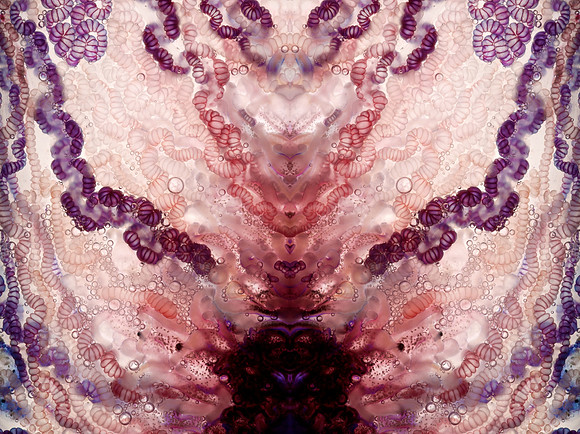 Zooid-1449