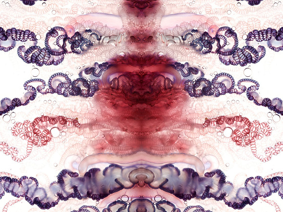 Zooid-1426