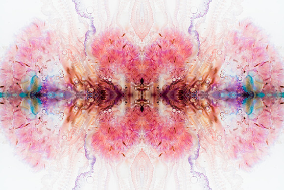 Zooid-0980