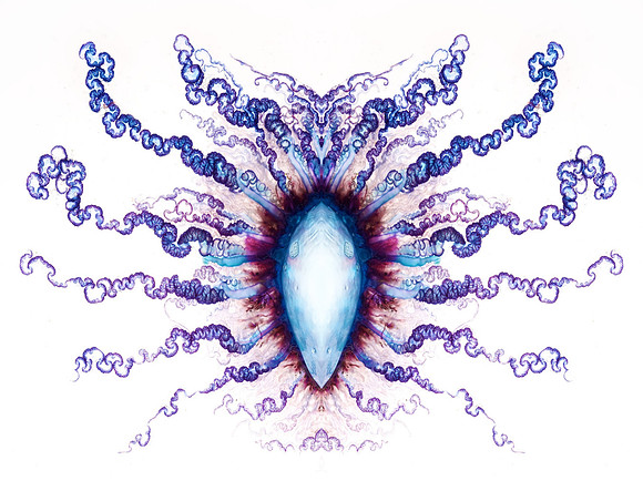 Zooid-1329