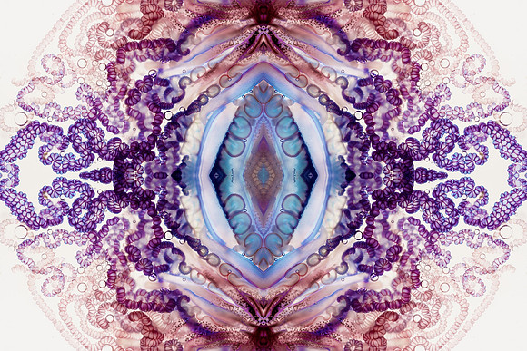 Zooid-1352
