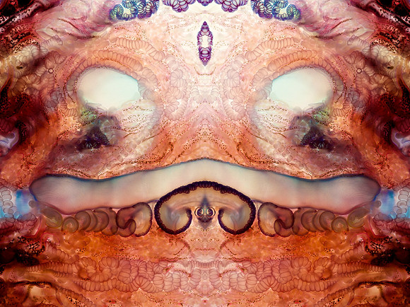 Zooid-1653