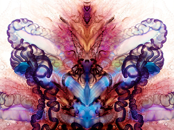 Zooid-1854