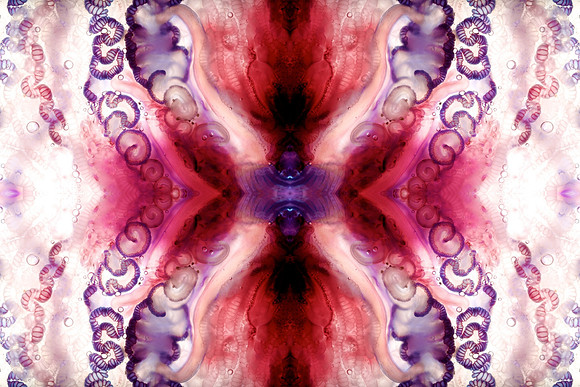 Zooid-1448