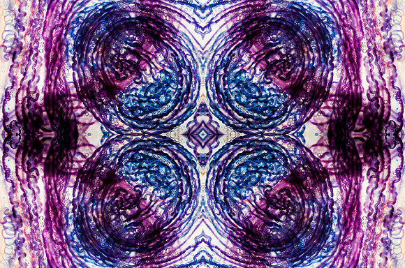 Zooid-1059