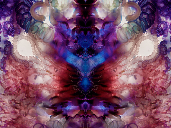 Zooid-1231